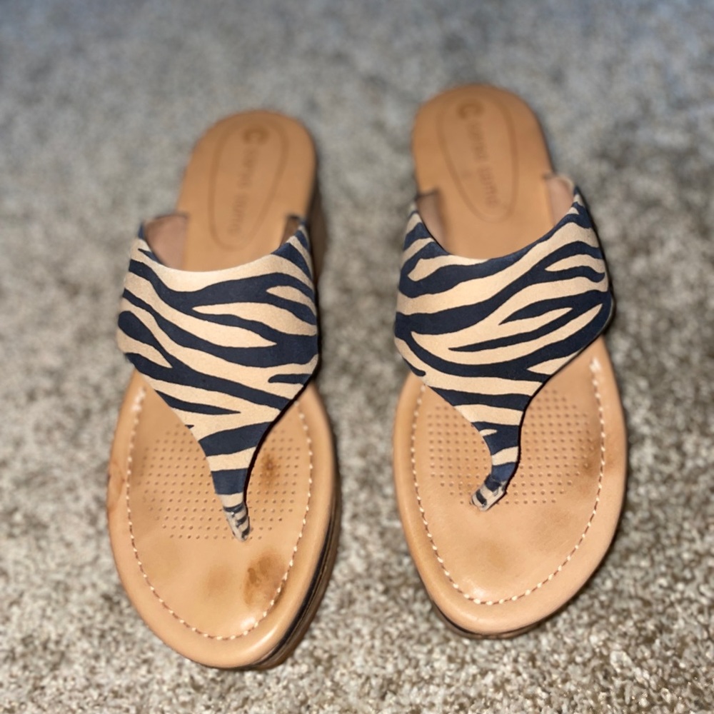 Zebra Striped Wedges